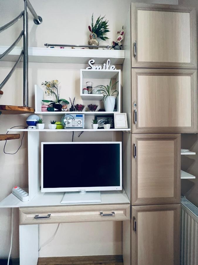 Apartment In The City Center Mini Ivano-Frankivsk Extérieur photo