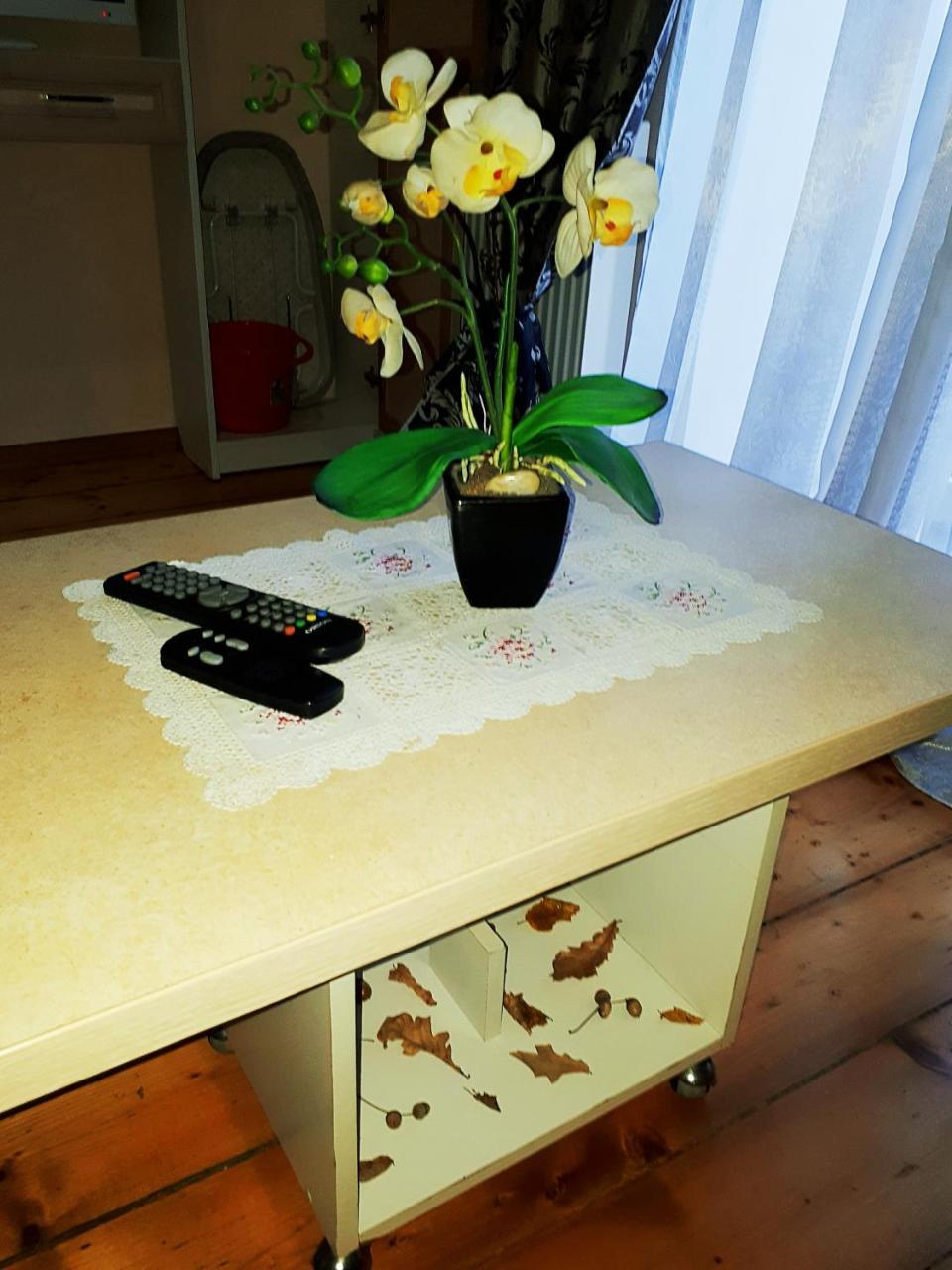 Apartment In The City Center Mini Ivano-Frankivsk Extérieur photo